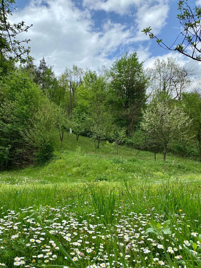 House In The Woods Bed and Breakfast Resita Buitenkant foto