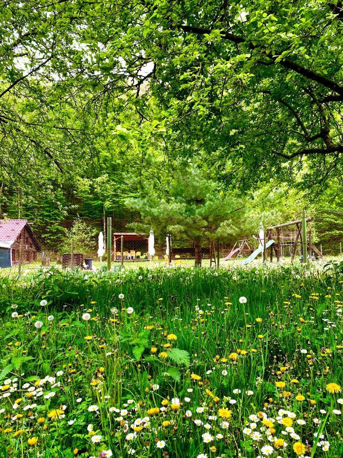 House In The Woods Bed and Breakfast Resita Buitenkant foto