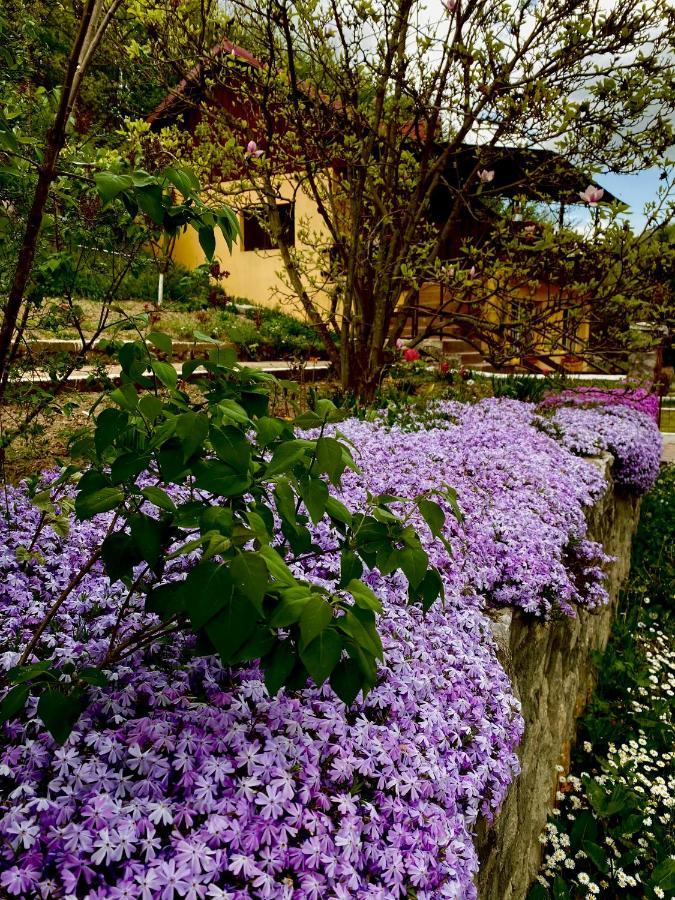 House In The Woods Bed and Breakfast Resita Buitenkant foto