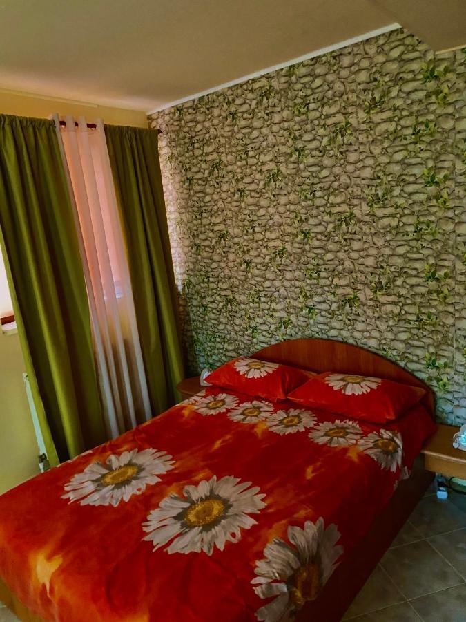 House In The Woods Bed and Breakfast Resita Buitenkant foto