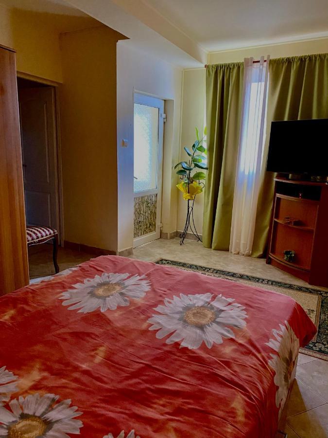 House In The Woods Bed and Breakfast Resita Buitenkant foto