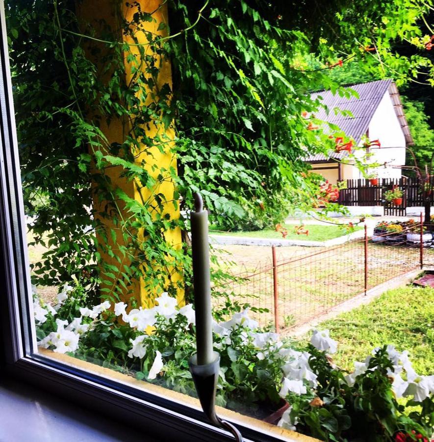 House In The Woods Bed and Breakfast Resita Buitenkant foto