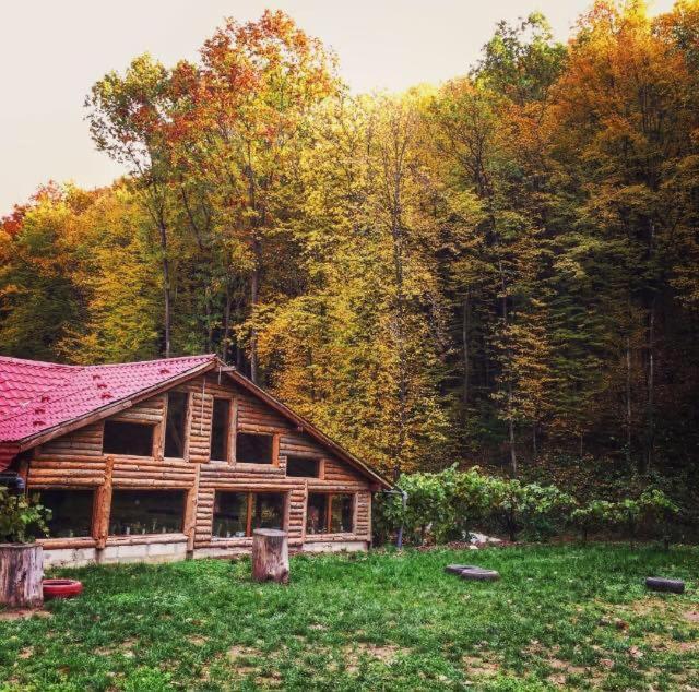 House In The Woods Bed and Breakfast Resita Buitenkant foto