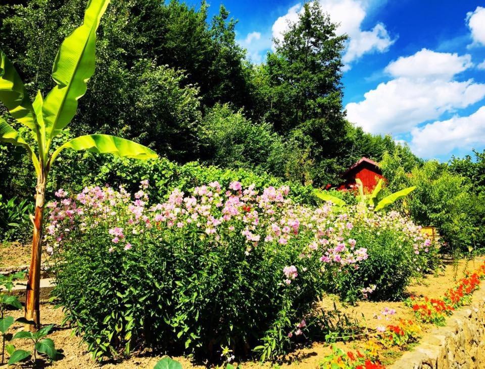 House In The Woods Bed and Breakfast Resita Buitenkant foto